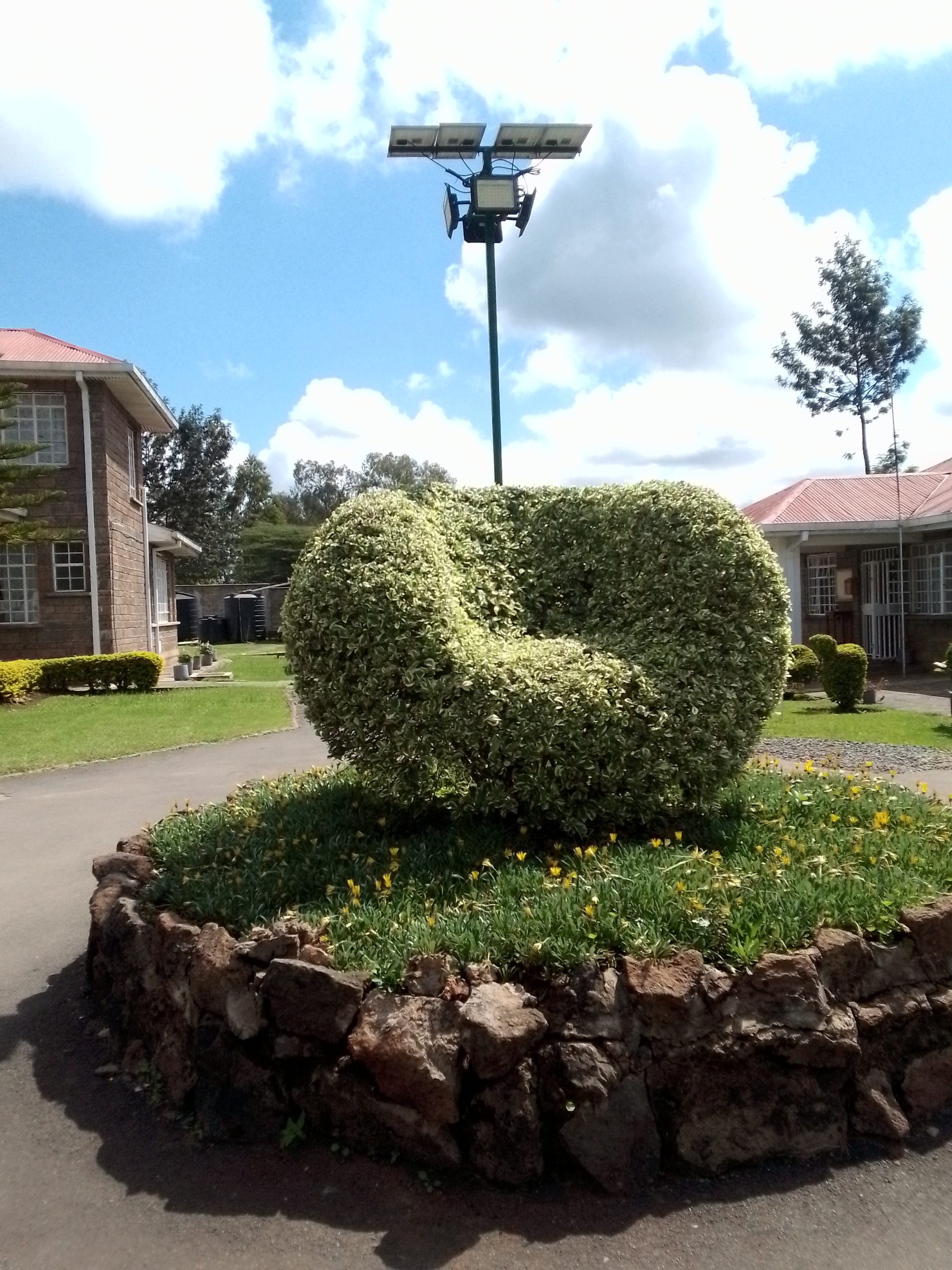 IMG_20250522_104957_175